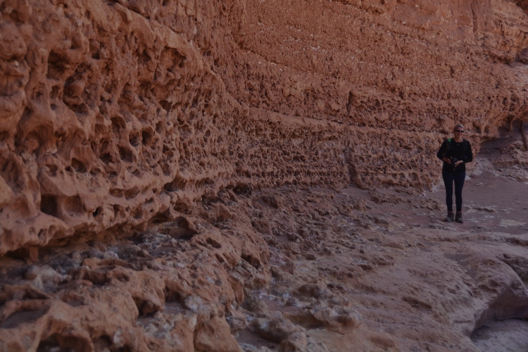 Lower Cathedral Wash